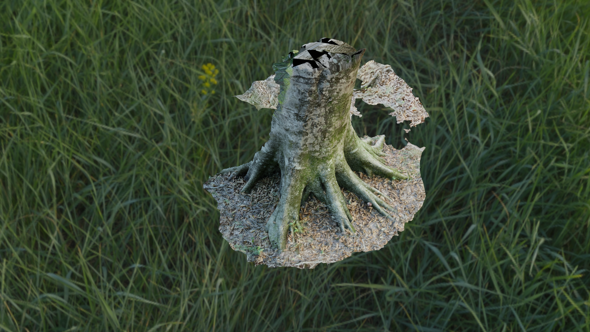 Tree Trunk Base - Photoscan preview image 2